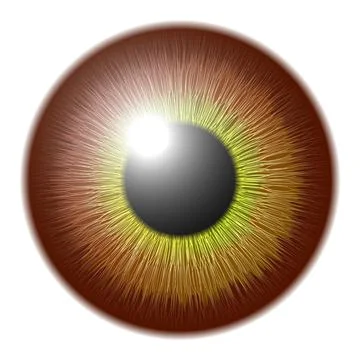 Vector eye in graphic style Stock Illustration