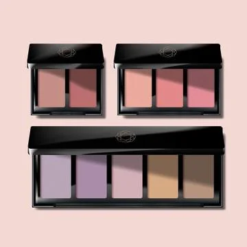 Vector Eyeshadow / Blush / Makeup Palette in Black Stock Illustration