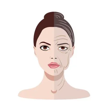 Vector face with two types of skin, young and old isolated Stock Illustration