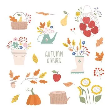 Vector fall garden flowers compositions set. Autumn harvest fest, baskets with Stock Illustration