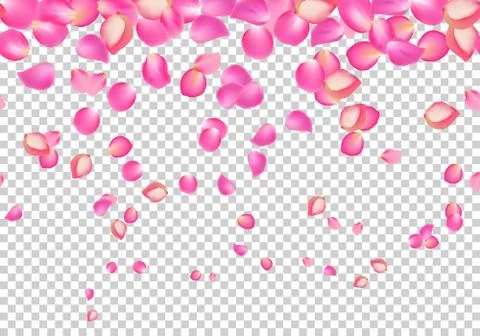 Vector falling rose pink petals. Floral background Stock Illustration