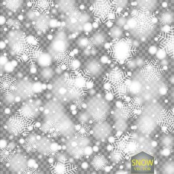 Vector falling snow effect isolated on transparent background with blurred bokeh Stock Illustration