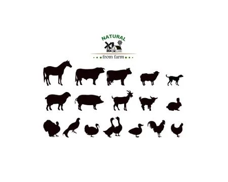 Vector farm animals Stock Illustration
