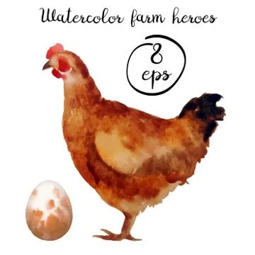 Vector farm poultry chicken Stock Illustration