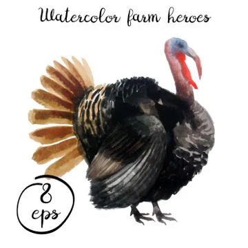 Vector farm poultry turkey Stock Illustration