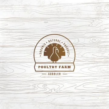 Vector farm turkey logo with turkey drawn in flat style and place for text and Stock Illustration