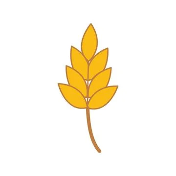 Vector farm wheat ears icon template. Line whole grain symbol illustration .. Stock Illustration