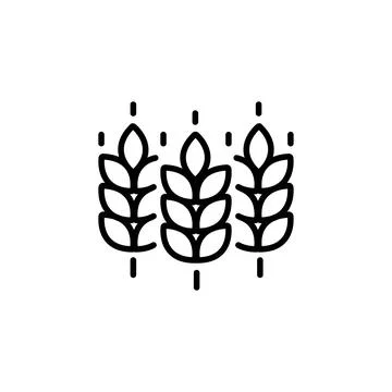 Vector farm wheat ears icon template. Line whole grain symbol illustration for Stock Illustration