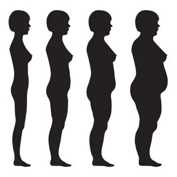 Vector fat body, weight loss, Stock Illustration