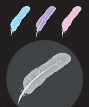 Vector. Feather icons. Stockillustratie