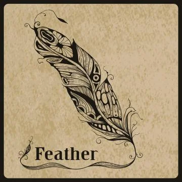 Vector feather Illustrazione stock