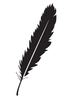 Vector Feather Isolated Illustrazione stock