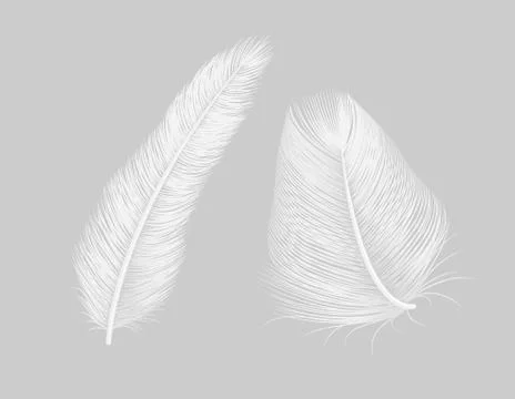 Vector feather quill icon background. Bird isolated feather Stockillustratie