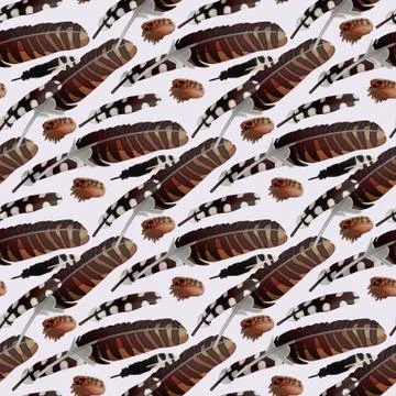 Vector feather seamless pattern イラスト素材