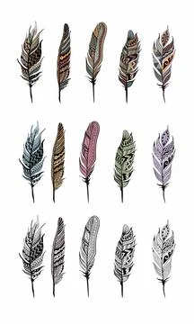 Vector feather set, isolated on white background Stock Illustration