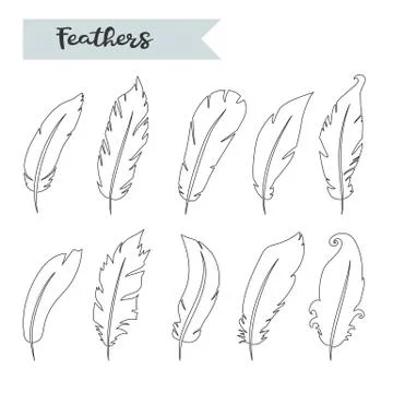 Vector feathers icon,sign,symbol, set, collection isolated vector Stock Illustration