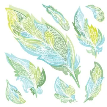 Vector Feathers Set Stock Illustration
