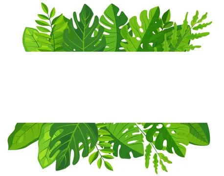 Vector features a vibrant green leaves frame surrounding a blank white Stock Illustration