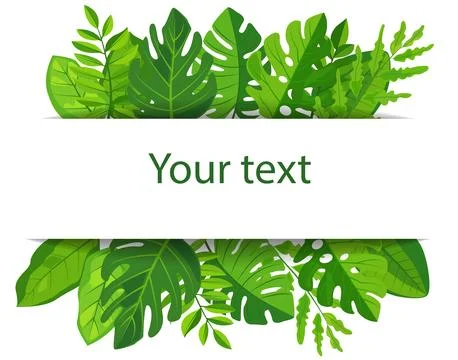 Vector features a vibrant green leaves frame surrounding a blank white Stock Illustration