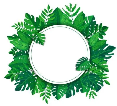 Vector features a vibrant green leaves frame surrounding a blank white Stock Illustration