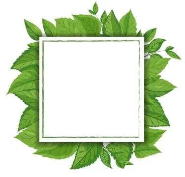 A vector featuring a square white frame embellished with vibrant green leaves Stock Illustration