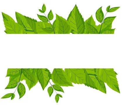 A vector featuring a square white frame embellished with vibrant green leaves Stock Illustration