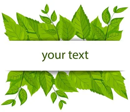 A vector featuring a square white frame embellished with vibrant green leaves Stock Illustration