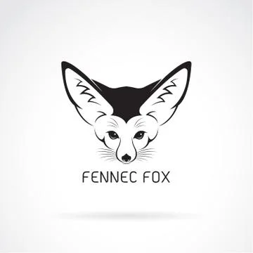 Vector of Fennec fox head on a white background. Wild Animals. Stock Illustration