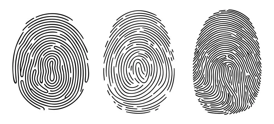 Vector fingerprint set of each finger isolated on white background. Stock Illustration