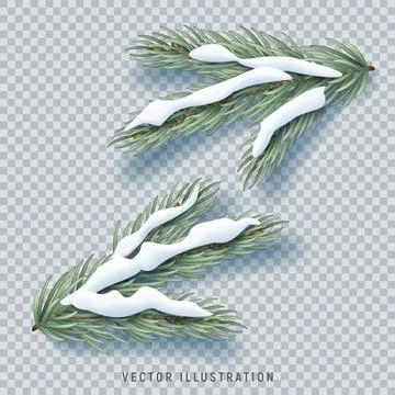 Vector fir tree branches Stock Illustration