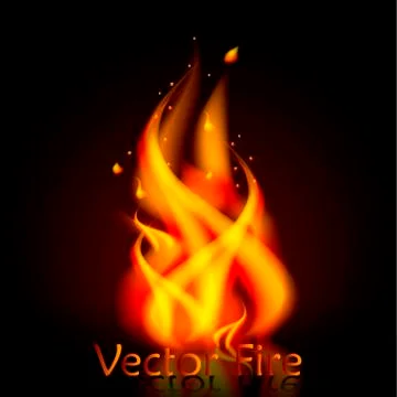 Vector fire realistic 3d illustration Stock Illustration