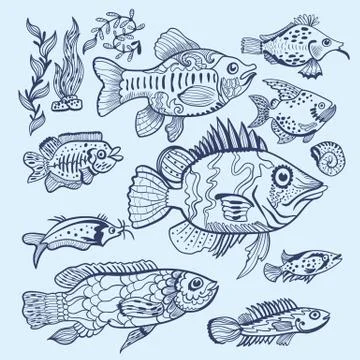 Vector Fish Sketch Set Stock Illustration