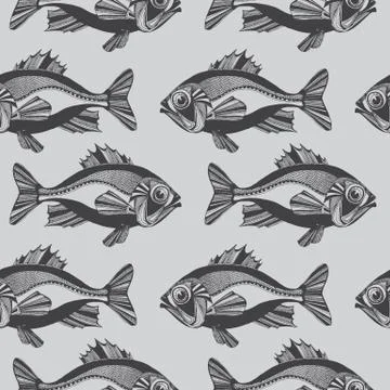 Vector fishes, ocean Stock Illustration
