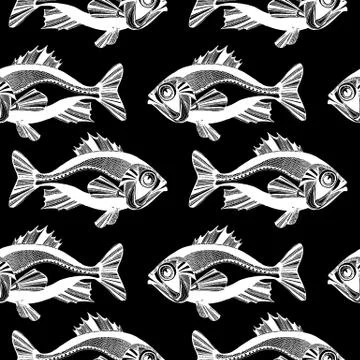 Vector fishes, ocean Illustrazione stock