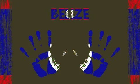 Vector flag of Belize with a palm Stock Illustration