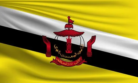 Vector flag of Brunei Illustrazione stock