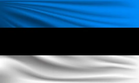 Vector flag of Estonia Stock Illustration