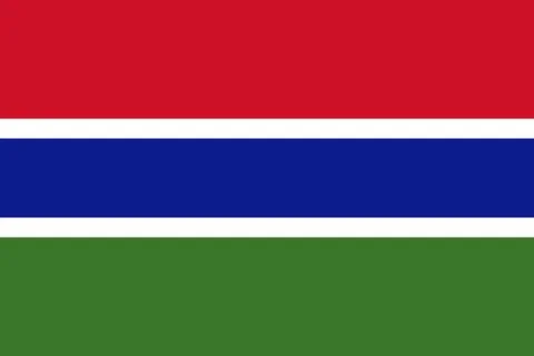 Vector flag of Gambia Stock Illustration