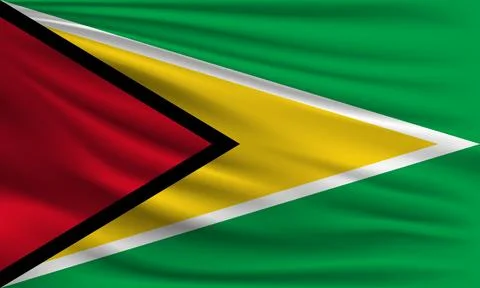 Vector flag of Guyana Stock Illustration