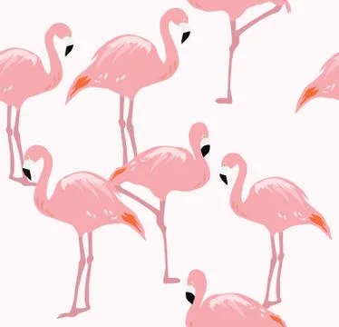 Vector Flamingo Bird Stock Illustration