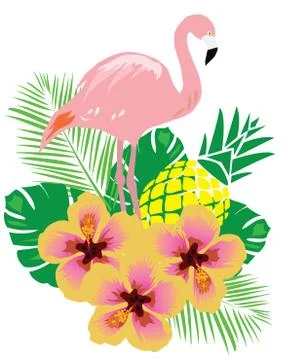 Vector Flamingo Bird Stock Illustration