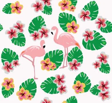 Vector Flamingo Bird Stock Illustration