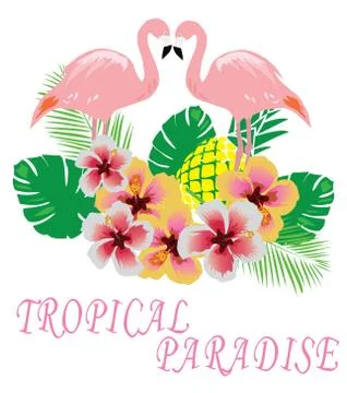 Vector Flamingo Birds Stock Illustration