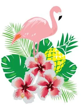 Vector Flamingo Stock Illustration