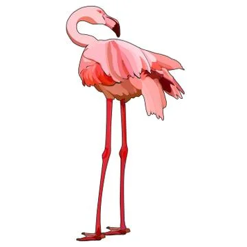 Vector flamingo Stock Illustration
