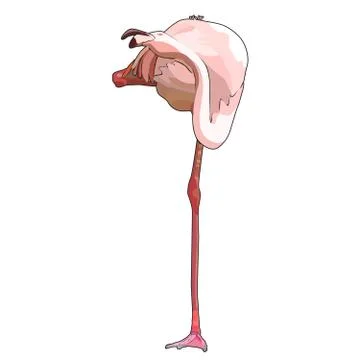 Vector flamingo Stock Illustration