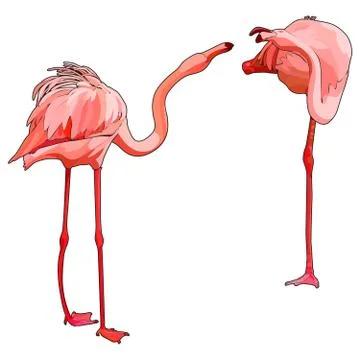 Vector flamingo Stock Illustration