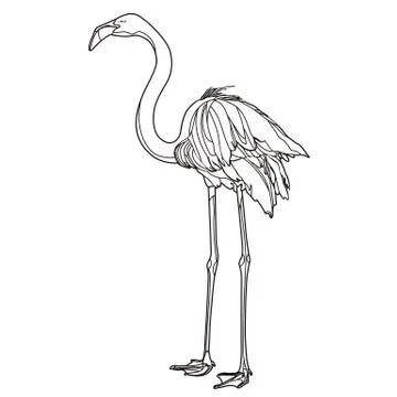 Vector flamingo in outline Illustrazione stock