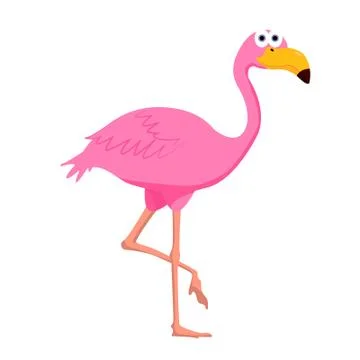 Vector flamingo for your ideas Stock Illustration