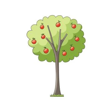 Vector flat apple tree isolated Stock Illustration
